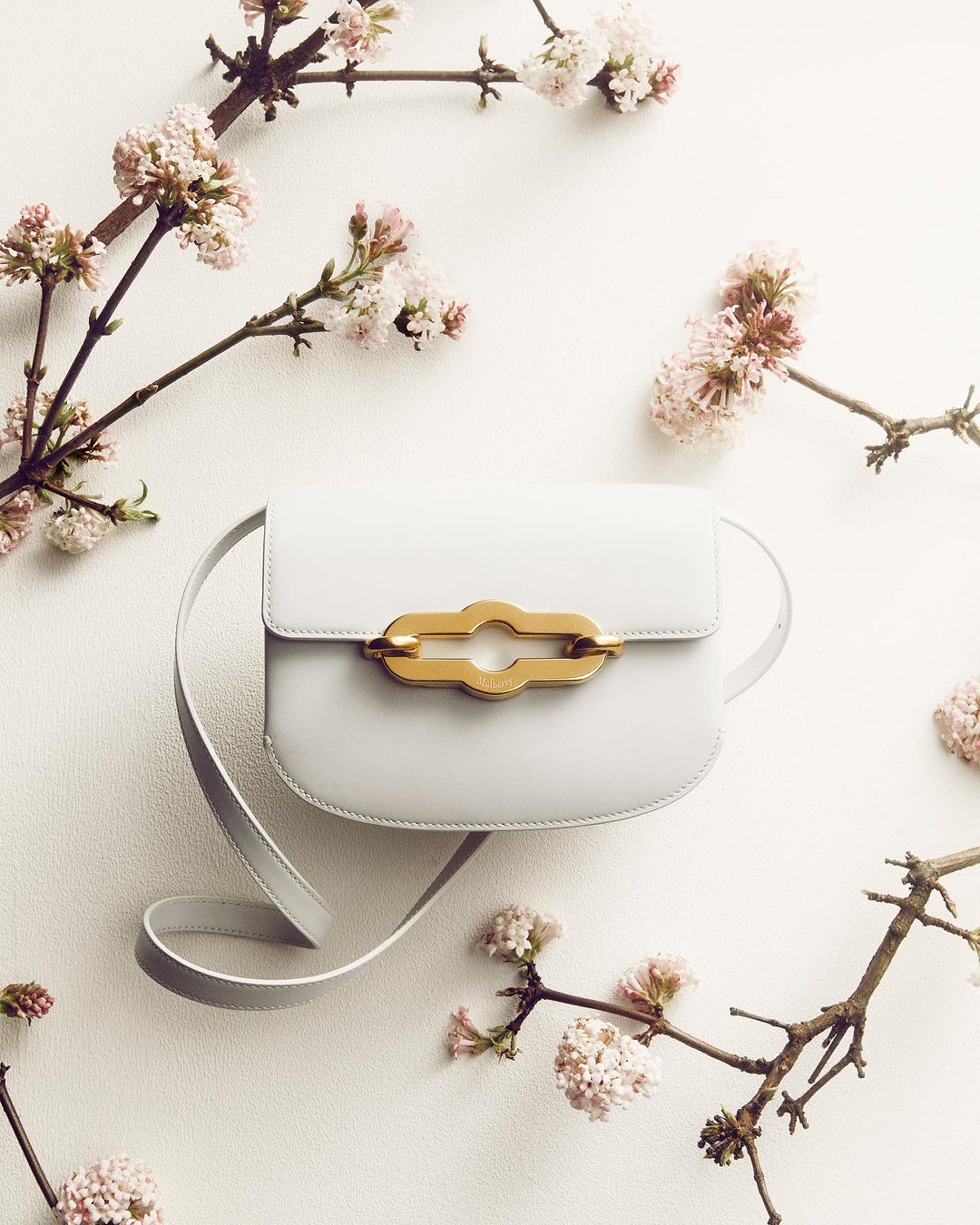 Pale blue leather purse with a gold clasp and strap, surrounded by blossoming branches on a white surface. Fashion still life.