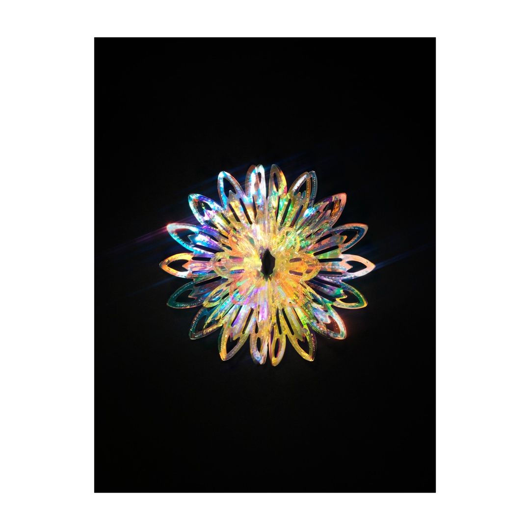 Iridescent floral design against a black background, showcasing cut-out petals, and sparkling details with a dark, contrasting backdrop.