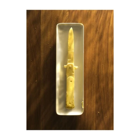 Overhead shot of a butter knife encased in a clear rectangular dish, sitting on a wooden surface, showcasing a food art composition.