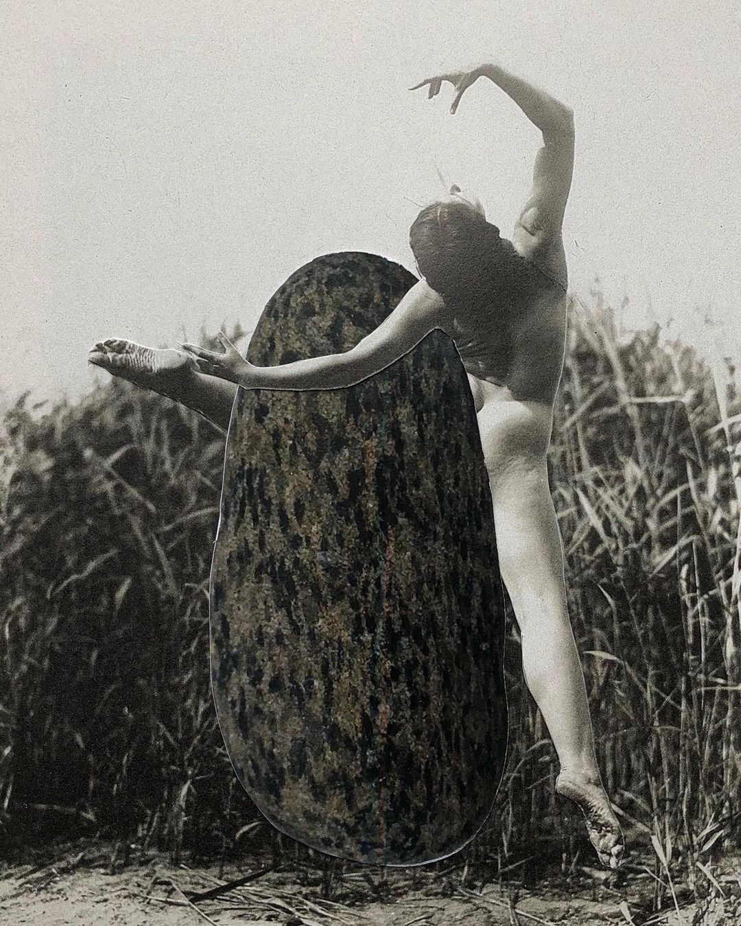 Black and white art collage: nude female figure in ballet pose with reed grass background, adjacent to an egg-shaped textured object.