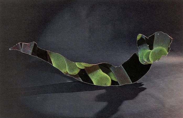 Abstract collage with a black background featuring a cut-out silhouette filled with a green-hued landscape pattern and a soft shadow.