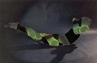 An abstract photographic collage piece shaped like a reclining figure reflecting green vegetation against a dark background