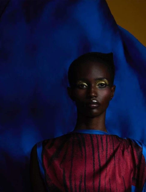 Close-up portrait of an African woman with gold eyeshadow, wearing a maroon and blue top, posing against a draped blue and yellow background.