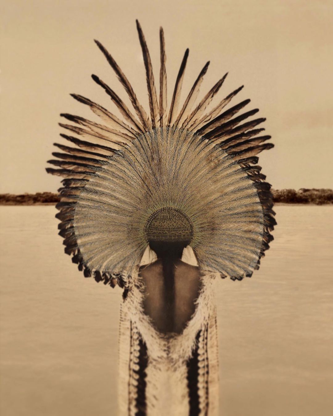 Person in elaborate feathered headdress and textured gown stands in front of a pale, flat landscape beneath an overcast sky, creating an editorial fashion image.