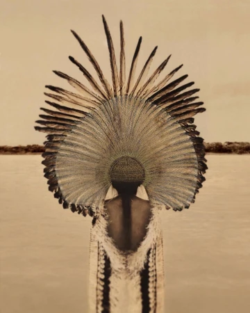 Person in elaborate feathered headdress and textured gown stands in front of a pale, flat landscape beneath an overcast sky, creating an editorial fashion image.