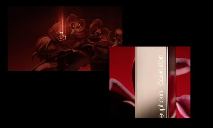 Floral and fragrance beauty still life: Orchids and Calvin Klein Euphoria perfume bottle set against a dark red background.