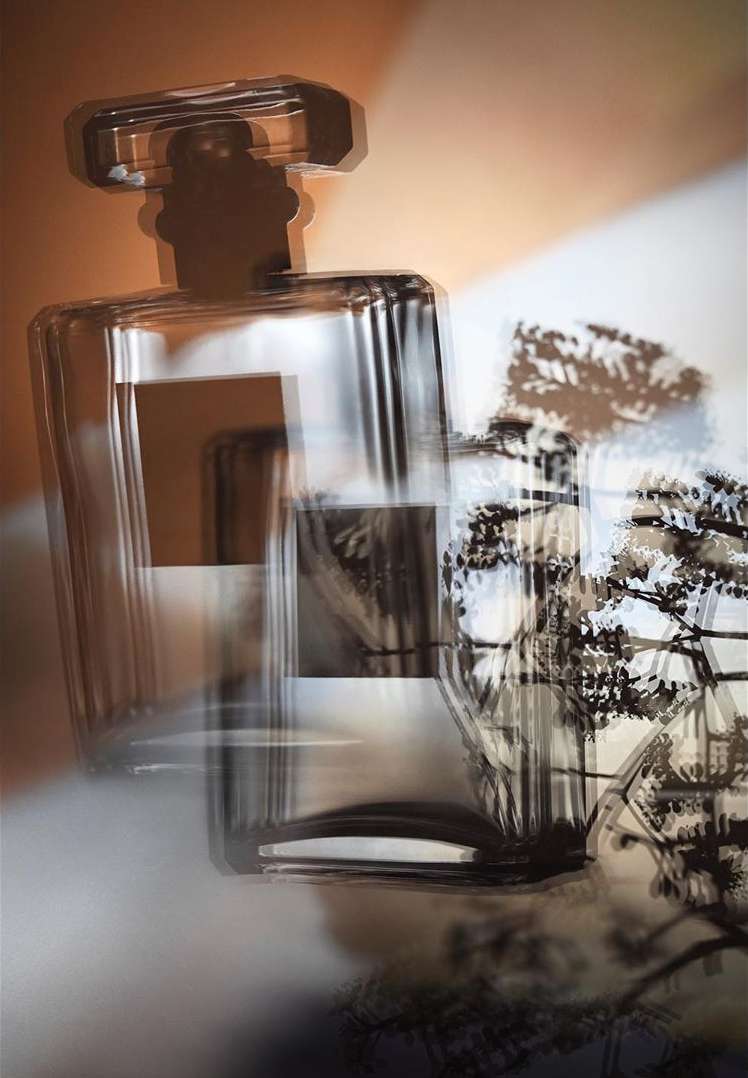 Clear glass perfume bottle with cap casting shadows on neutral background, evoking minimalist beauty product shot.