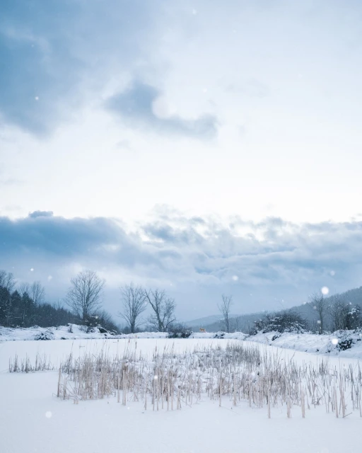 Winter landscape features snow-covered ground, bare trees, and a cloudy sky, creating a serene and cold outdoor scene.