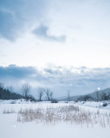 Winter landscape features snow-covered ground, bare trees, and a cloudy sky, creating a serene and cold outdoor scene.