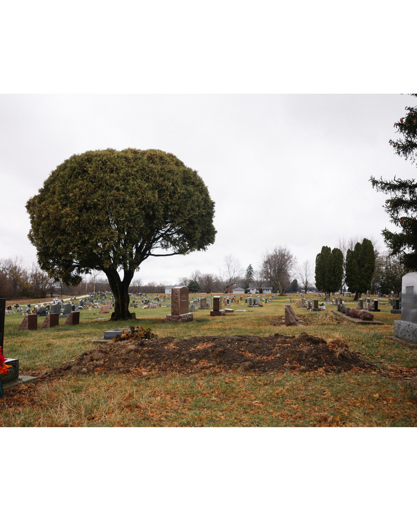 Cemetery landscape with headstones and trees under an overcast sky, showcasing a somber and reflective setting.