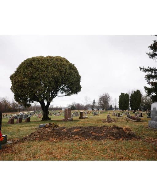 Cemetery landscape with headstones and trees under an overcast sky, showcasing a somber and reflective setting.