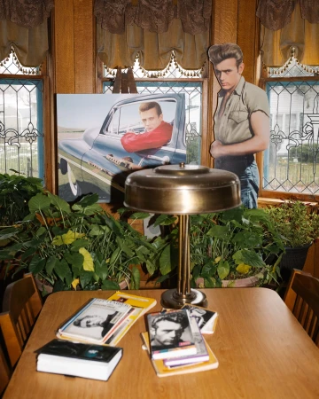 Still indoor life featuring a table lamp, James Dean photos, and plants, set against a backdrop of traditional-style windows and wooden paneling.