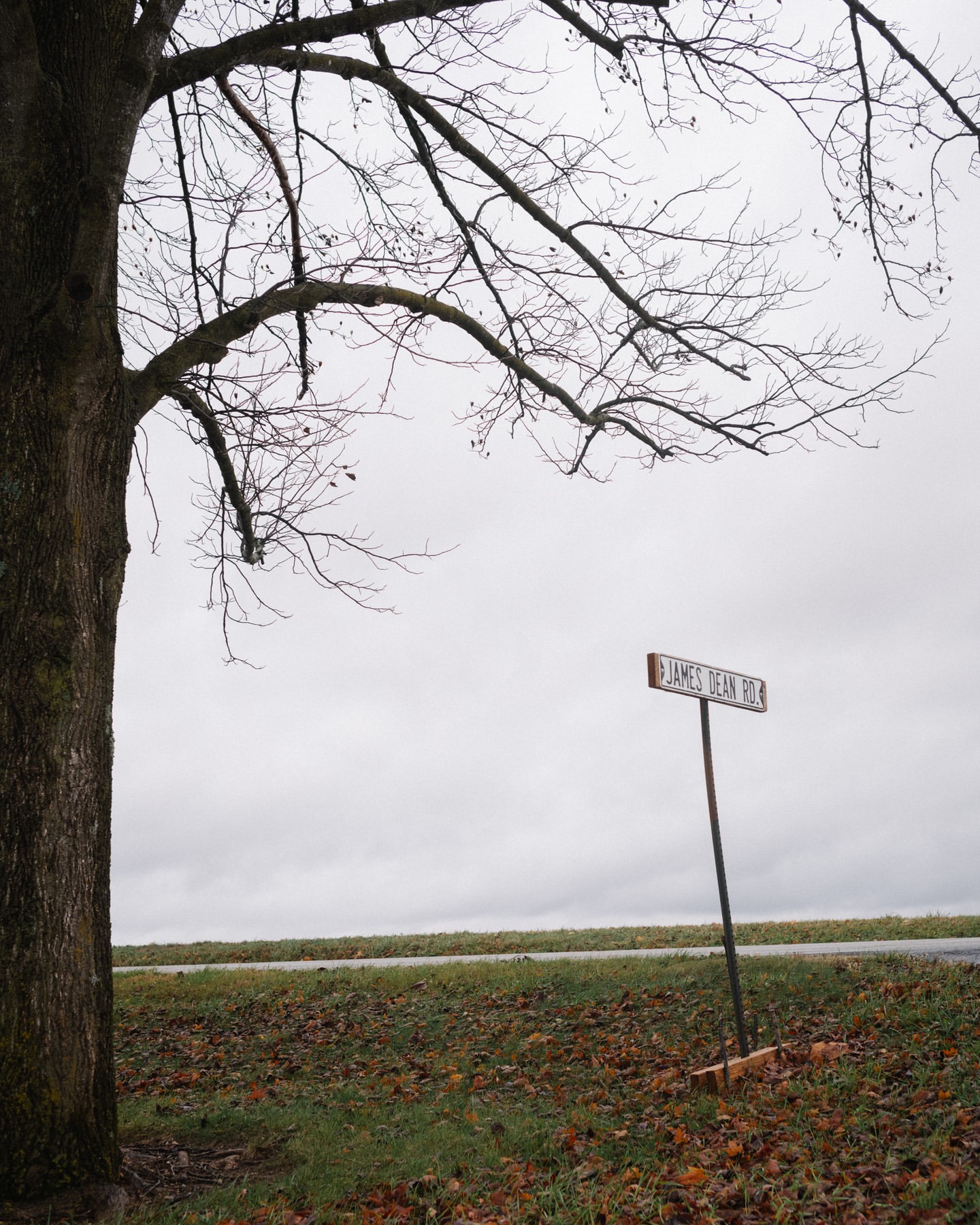 Street sign reading 'James Dean Road' on a cloudy day next to a tree and field, evoking a sense of Americana and nostalgia.