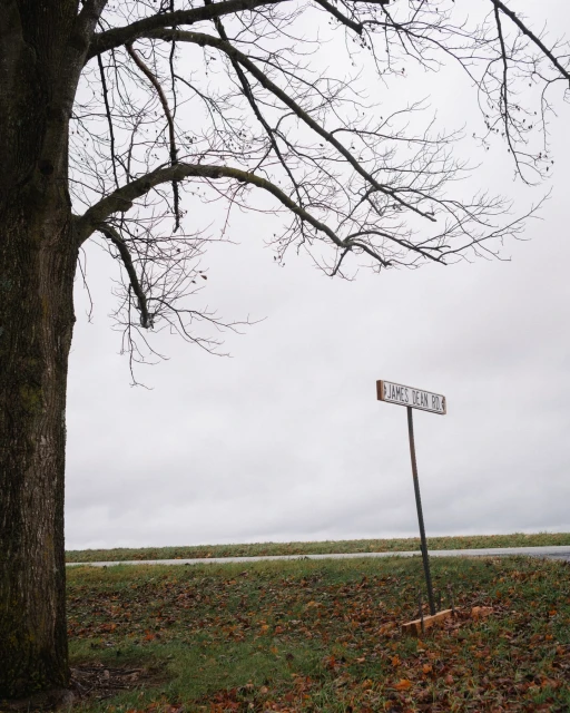 Street sign reading 'James Dean Road' on a cloudy day next to a tree and field, evoking a sense of Americana and nostalgia.