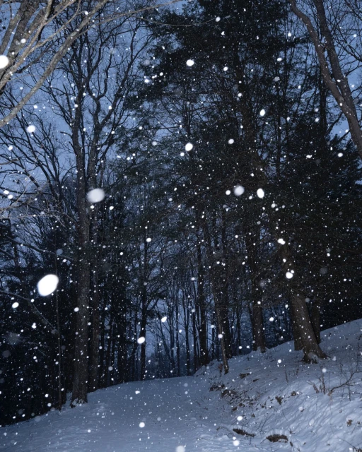 Snow falls in a dense forest of bare and evergreen trees, illuminated by the soft, muted light of dusk during winter.