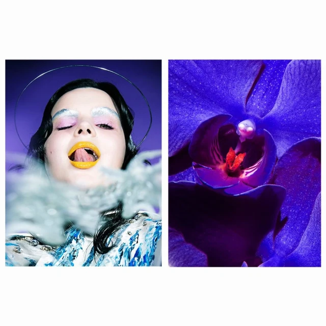 A creative diptych showcasing a woman with avant-garde makeup and a striking purple orchid, set against a solid purple background.
