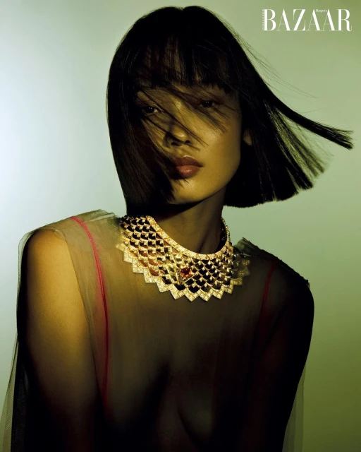 Elegant woman in a sheer top and a diamond necklace is featured in a studio shot with BAZAAR logo. The subject is looking towards the camera.
