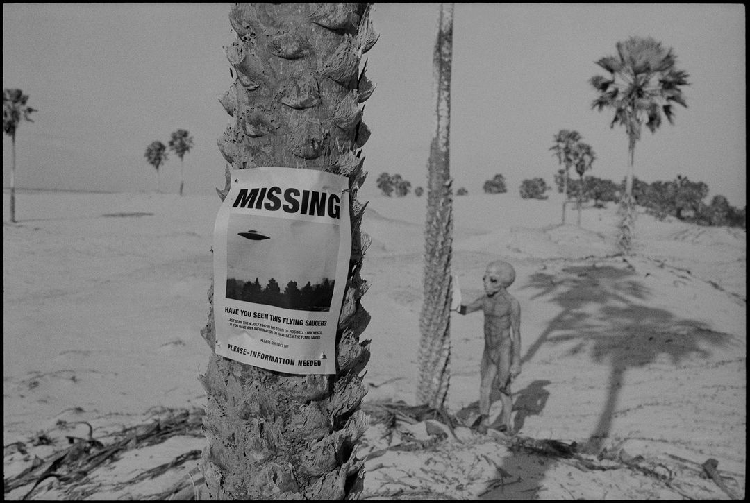 Black and white photo of a missing alien poster attached to a palm tree in a desert landscape with an alien standing nearby.