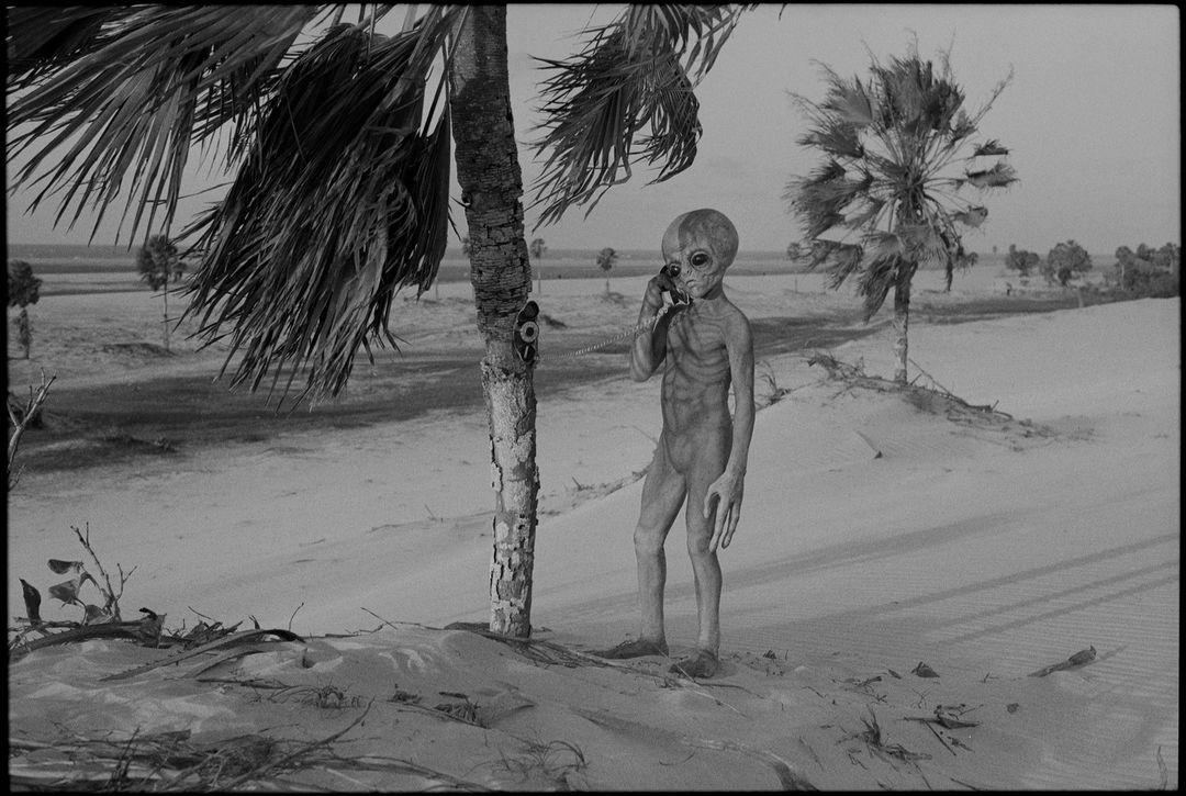 Monochrome image of a humanoid alien standing near a palm tree, holding a telephone receiver in a desolate landscape, evoking surrealism.