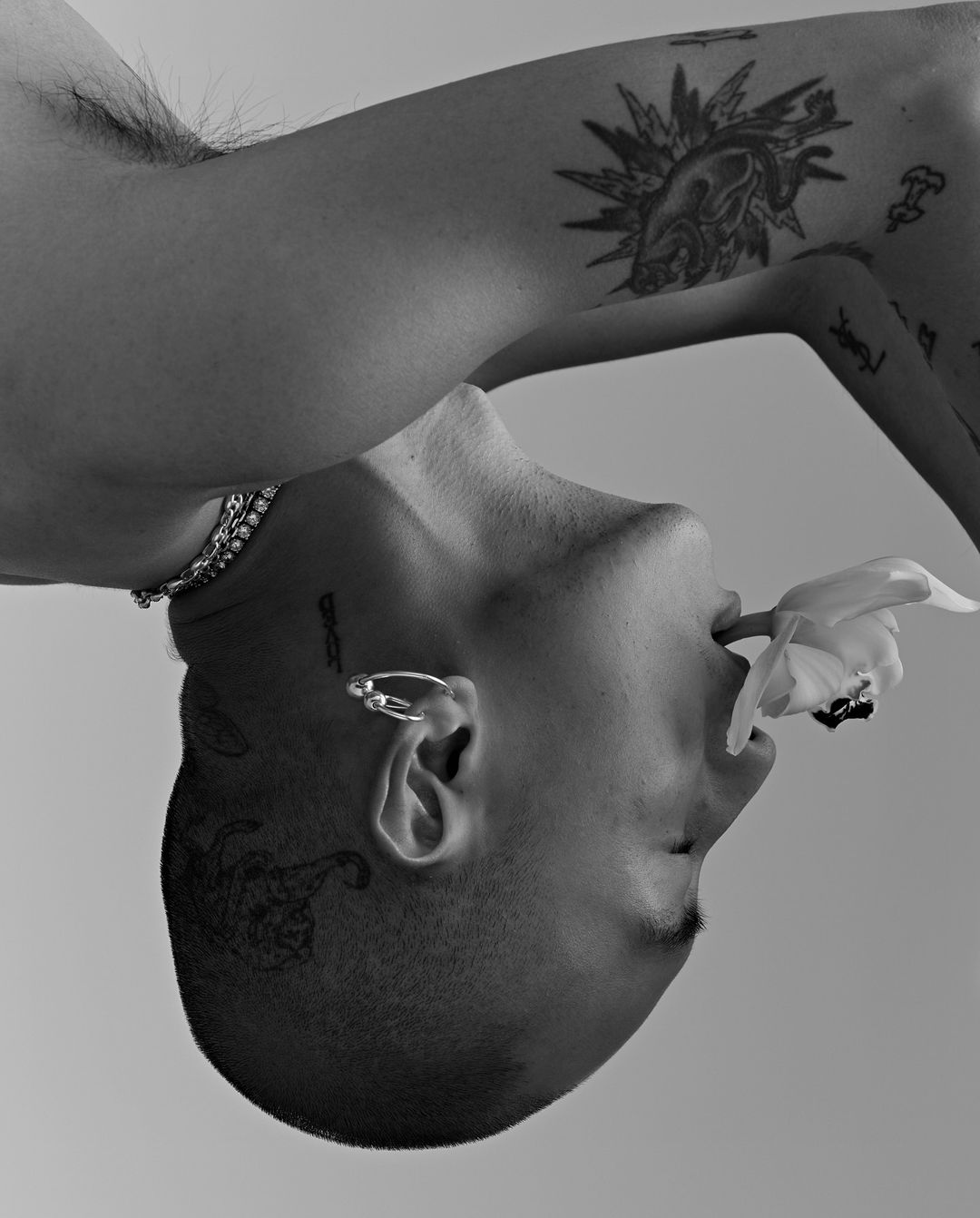 Striking black and white portrait of a person with tattoos and a lip piercing holding a white flower in their mouth.