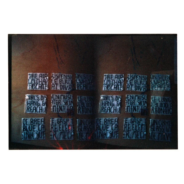 Abstract art piece featuring multiple aligned blocks with superimposed text in dark blue against a blurry, textured backdrop of brown and black.