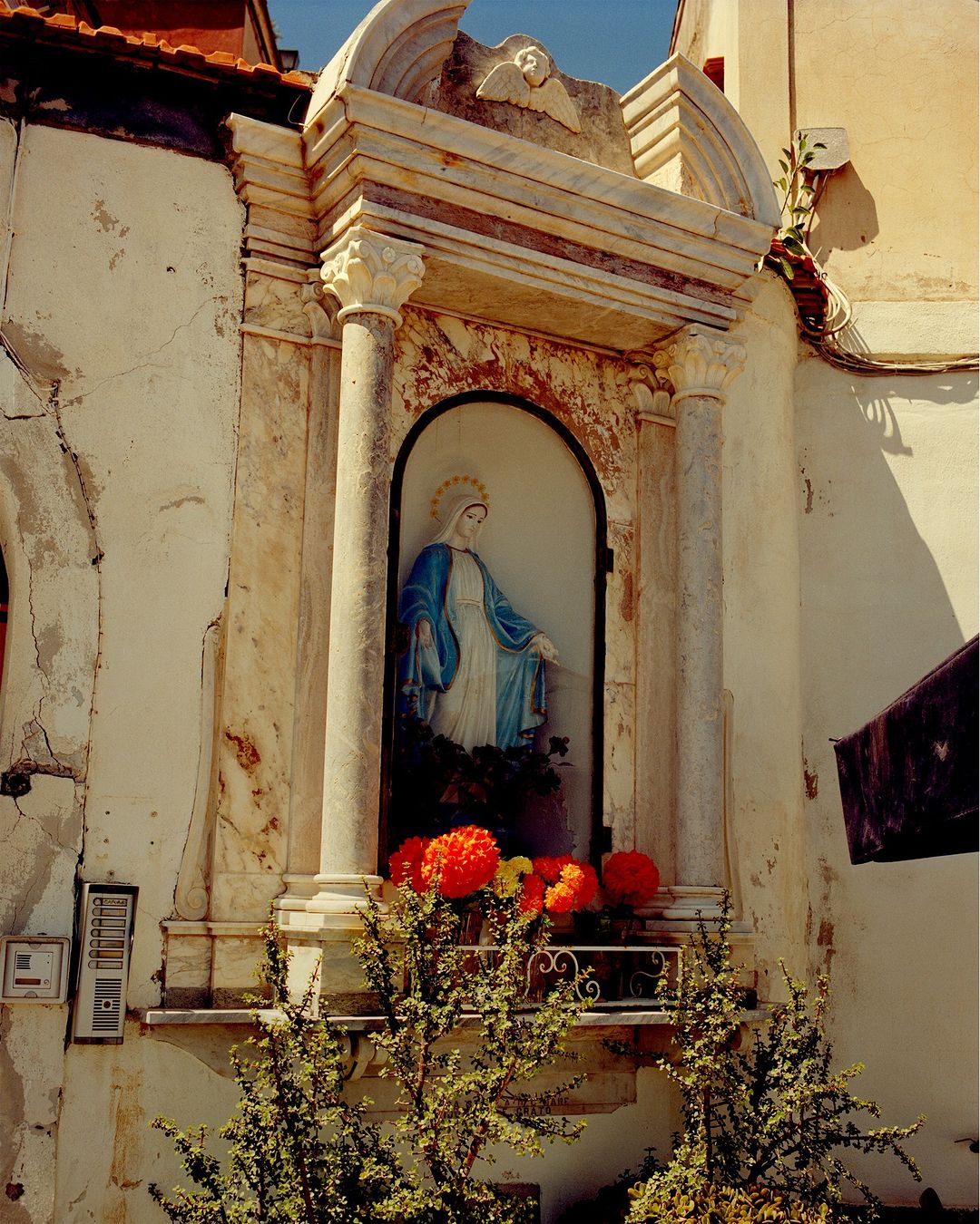 Outdoor shrine with a statue of the Virgin Mary, set in a niche with flowers and greenery in an urban setting on a sunny day.