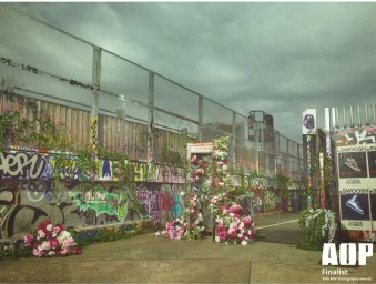 An old telephone booth heavily overgrown with vibrant pink and white flowers set against a graffiti-covered urban wall and chain-link fence.