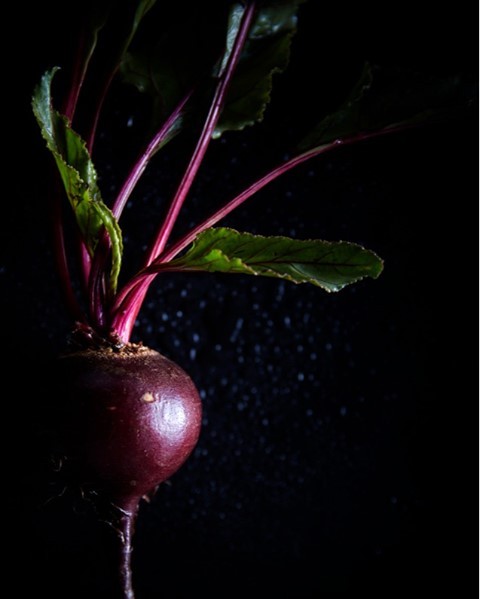 Dark moody food photography of beetroot with green leaves and purple stems against a black background with bokeh lighting effects.