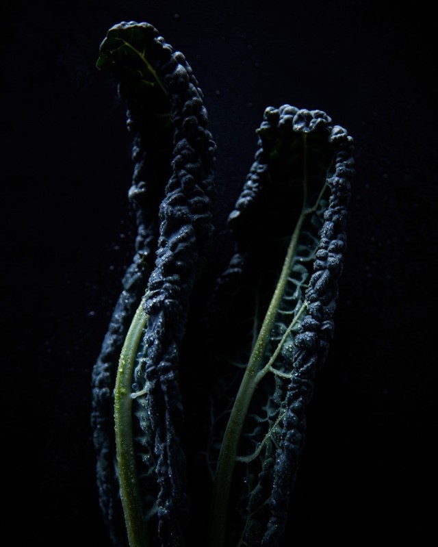 Close-up photo of two dark green, textured Lacinato kale leaves against a black background, showcasing their unique shape and coloration.