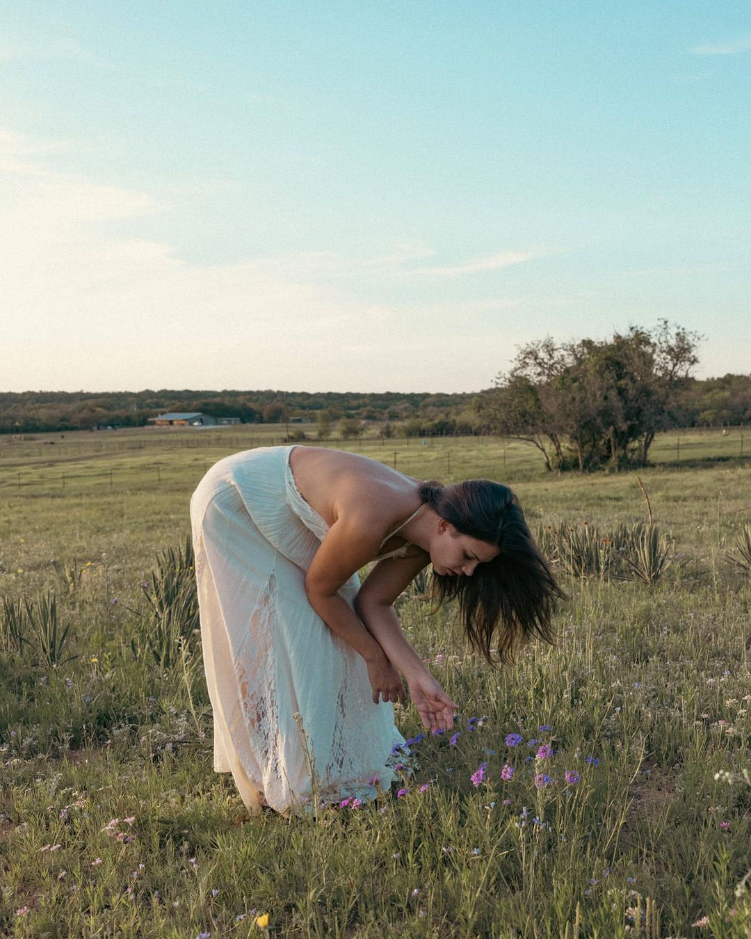 Woman in a white dress in a field of flowers in golden light, picking flowers. Nature scene in a rural setting with natural light.