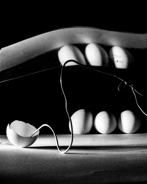 Dramatic still life of eggs, eggshell, and wire against a dark backdrop, highlighted with strong monochrome lighting and shadow.