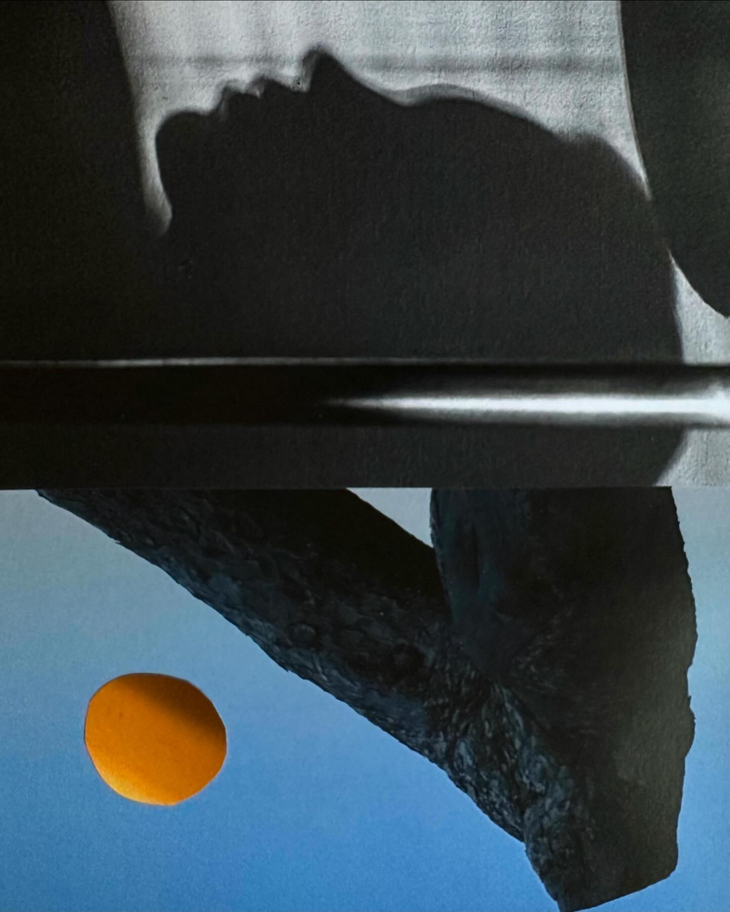 Monochromatic image featuring a silhouetted human profile above a horizontal line, with an orange fruit near a stark branch against blue.