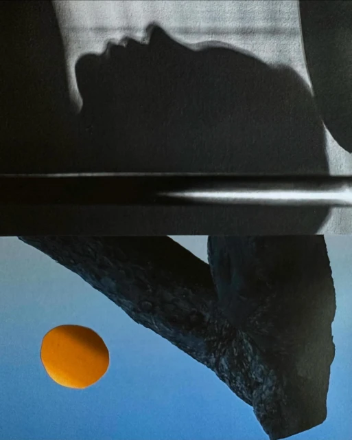 Monochromatic image featuring a silhouetted human profile above a horizontal line, with an orange fruit near a stark branch against blue.