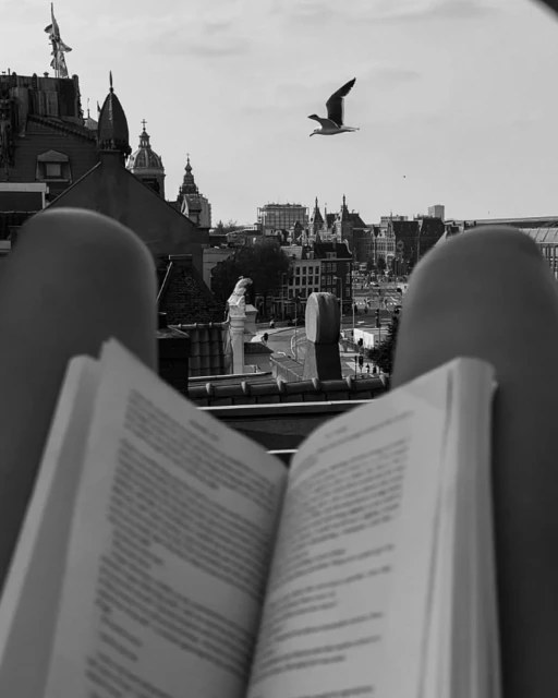 Monochrome shot from above of open book held by person sitting on rooftop overlooking city, with bird flying overhead in daylight.