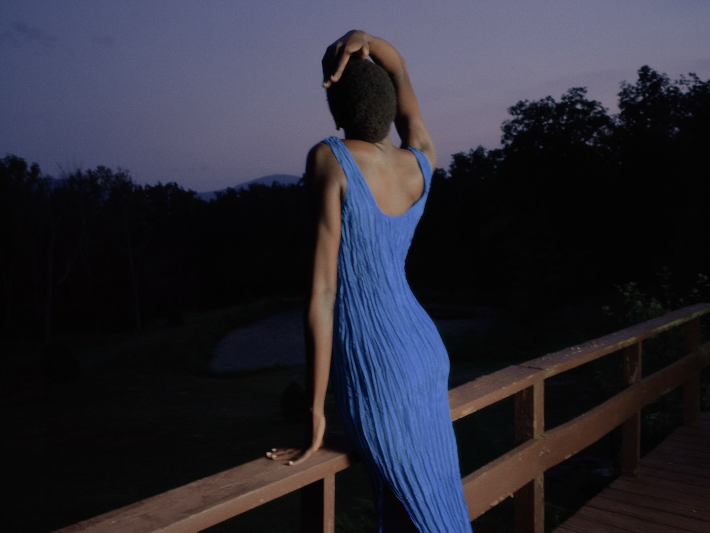 An adult woman in a blue dress is seen from the rear, resting on a wooden railing outdoors at dusk, with trees in the background.