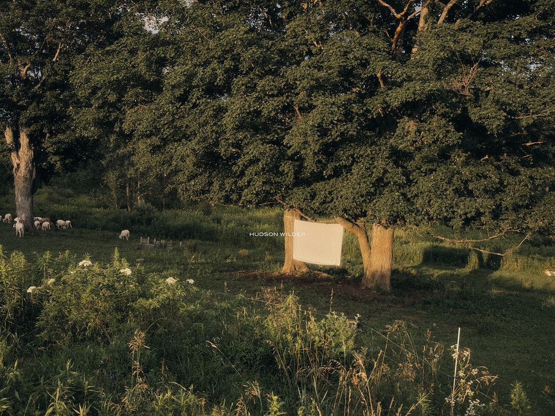 An idyllic pastoral scene featuring sheep grazing on a grassy field, framed by large trees with a white rectangle hanging from one.