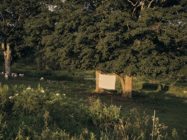An idyllic pastoral scene featuring sheep grazing on a grassy field, framed by large trees with a white rectangle hanging from one.