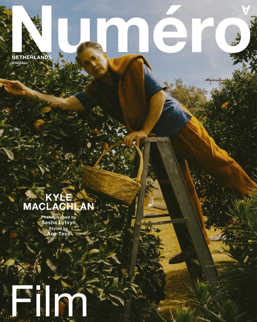 Kyle MacLachlan photographed for Numero magazine, standing on a ladder in an orange tree grove, holding a woven basket, looking at oranges.
