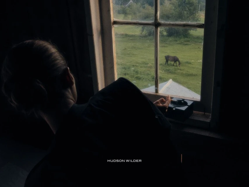 Person stands at a window looking out at a horse in a grassy field, bathed in soft, natural light creating a tranquil scene.