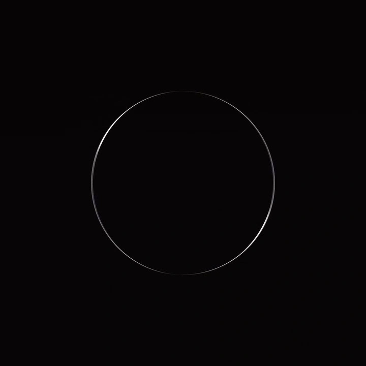 Minimalist digital illustration of a thin glowing silver circle centered on a solid black background.