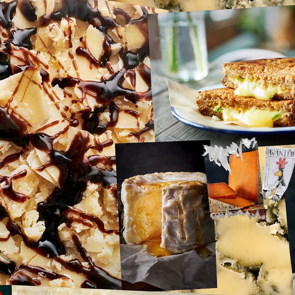 Collage of food photography featuring cheese, grilled cheese sandwiches, brie, and cheese with chocolate sauce drizzle.