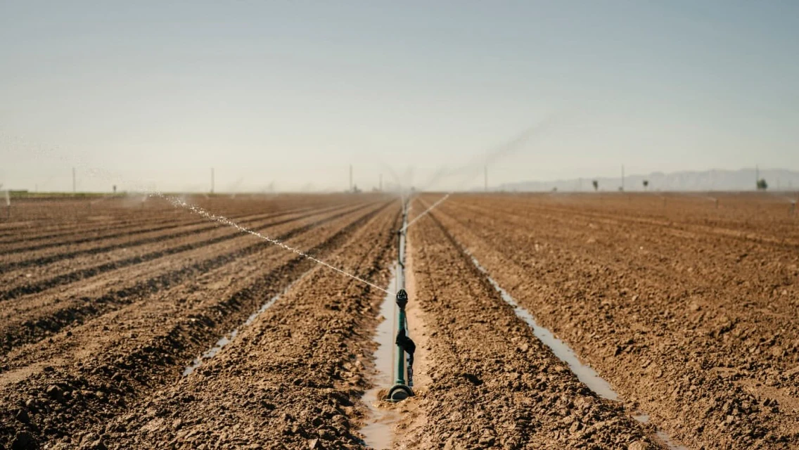 Irrigation system waters a cultivated field under a clear sky, showing agricultural technology and water resources management.