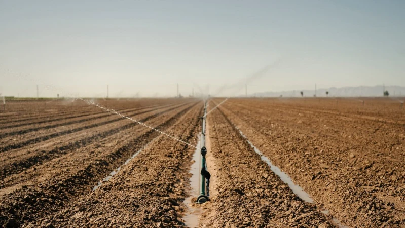 Irrigation system waters a cultivated field under a clear sky, showing agricultural technology and water resources management.