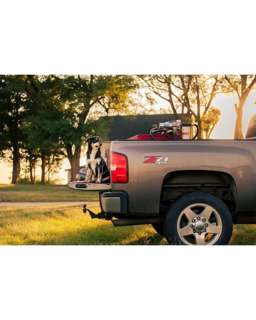 Dog sits on the open tailgate of a grey pickup truck in a rural setting with a house and trees visible during a sunny day.