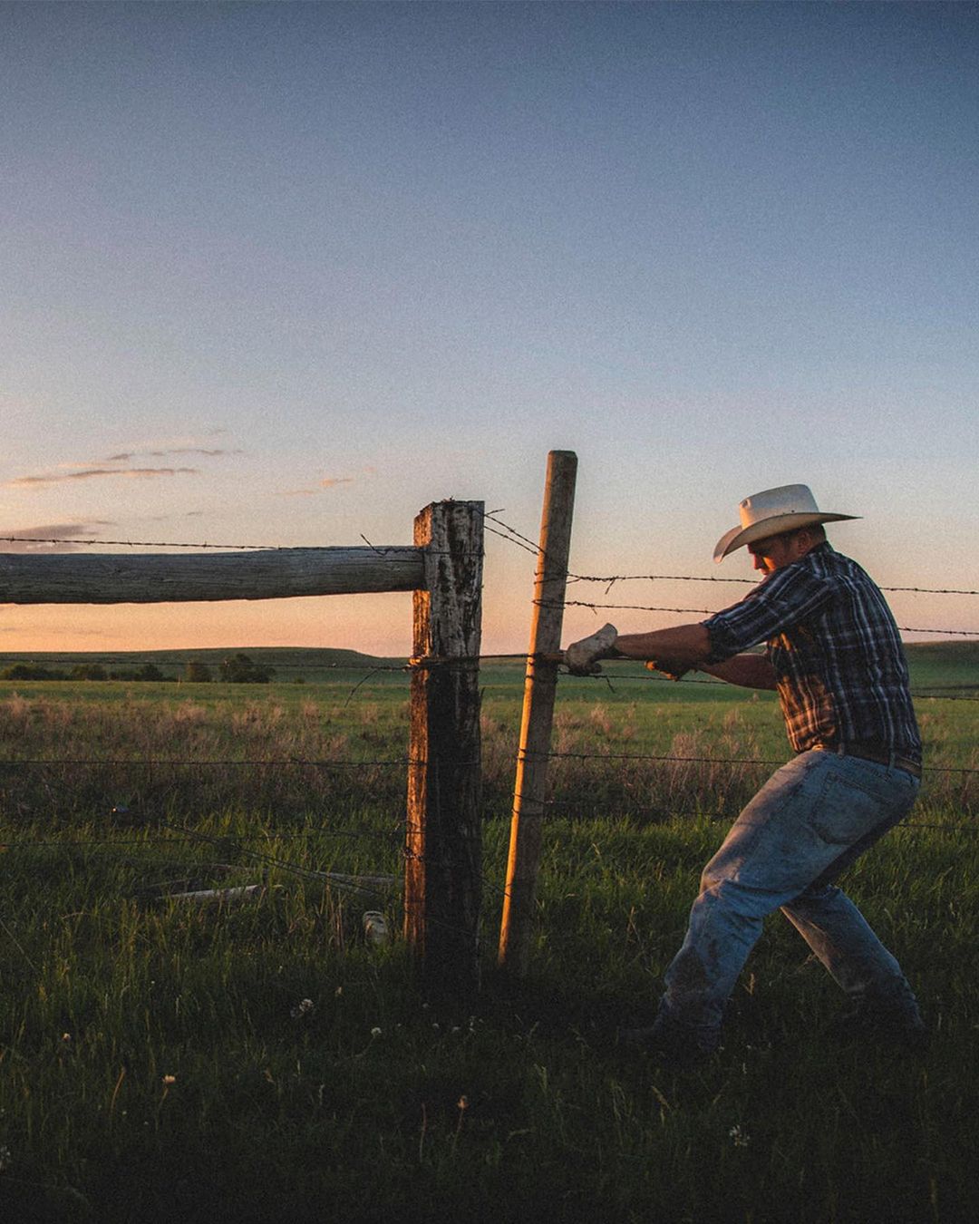 Adult male in a cowboy hat repairing a barbed wire fence in a rural setting, with a field and the sunset in the background.