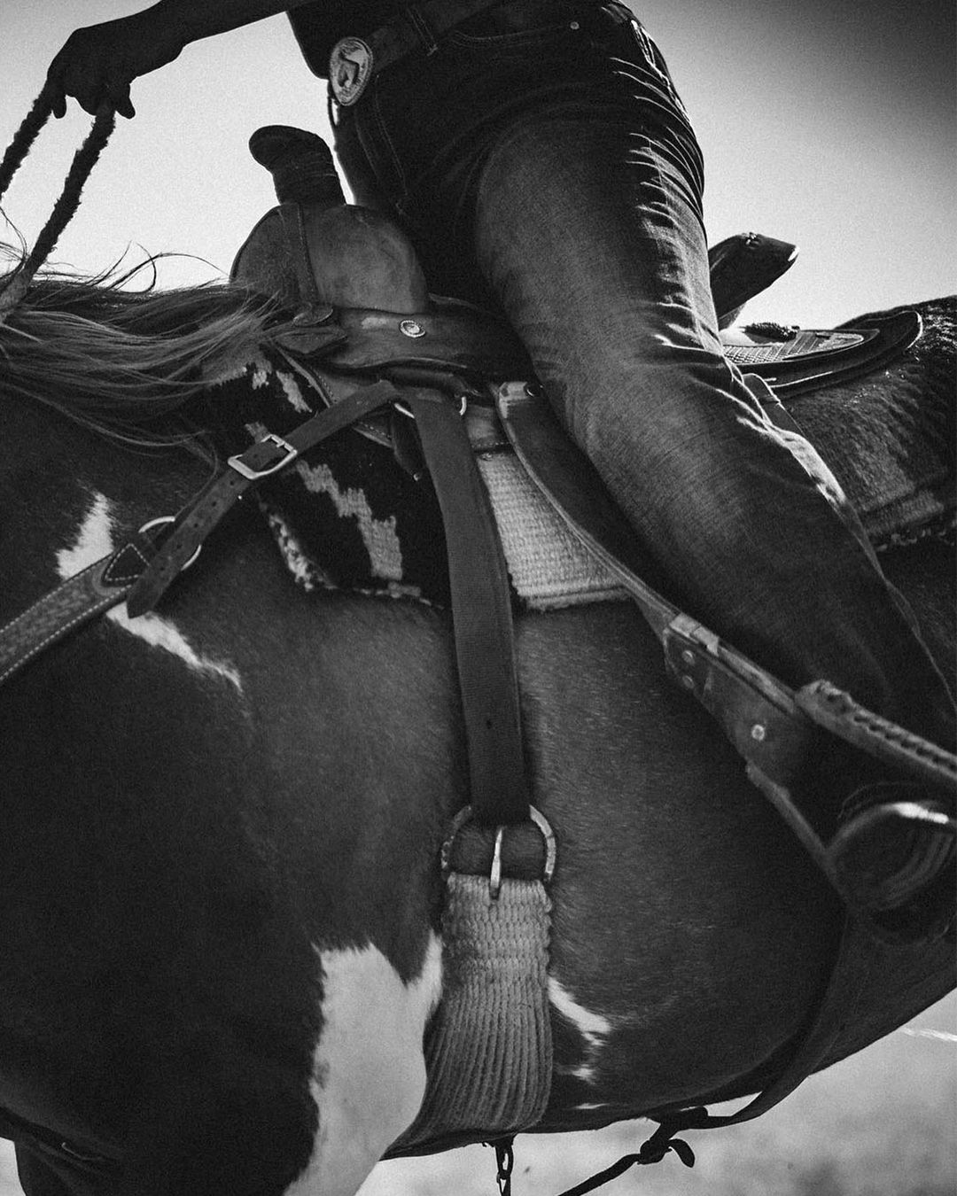 Monochrome shot of a person in jeans riding a horse with a saddle and reins, cropped to the torso and legs, creating an intimate portrait.