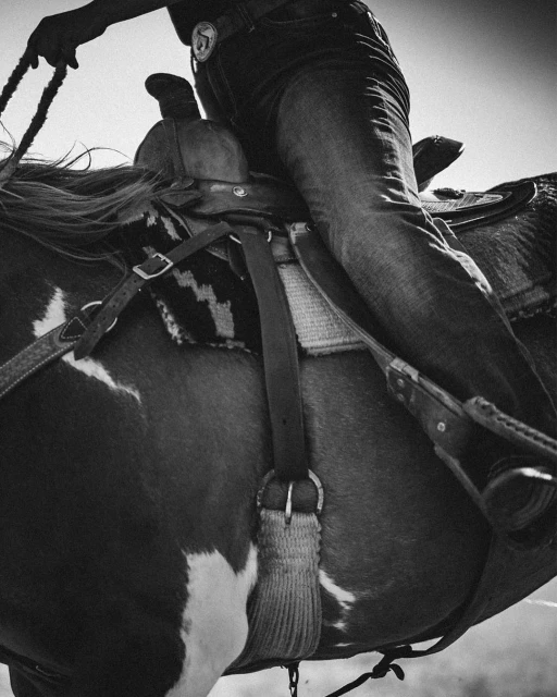 Monochrome shot of a person in jeans riding a horse with a saddle and reins, cropped to the torso and legs, creating an intimate portrait.
