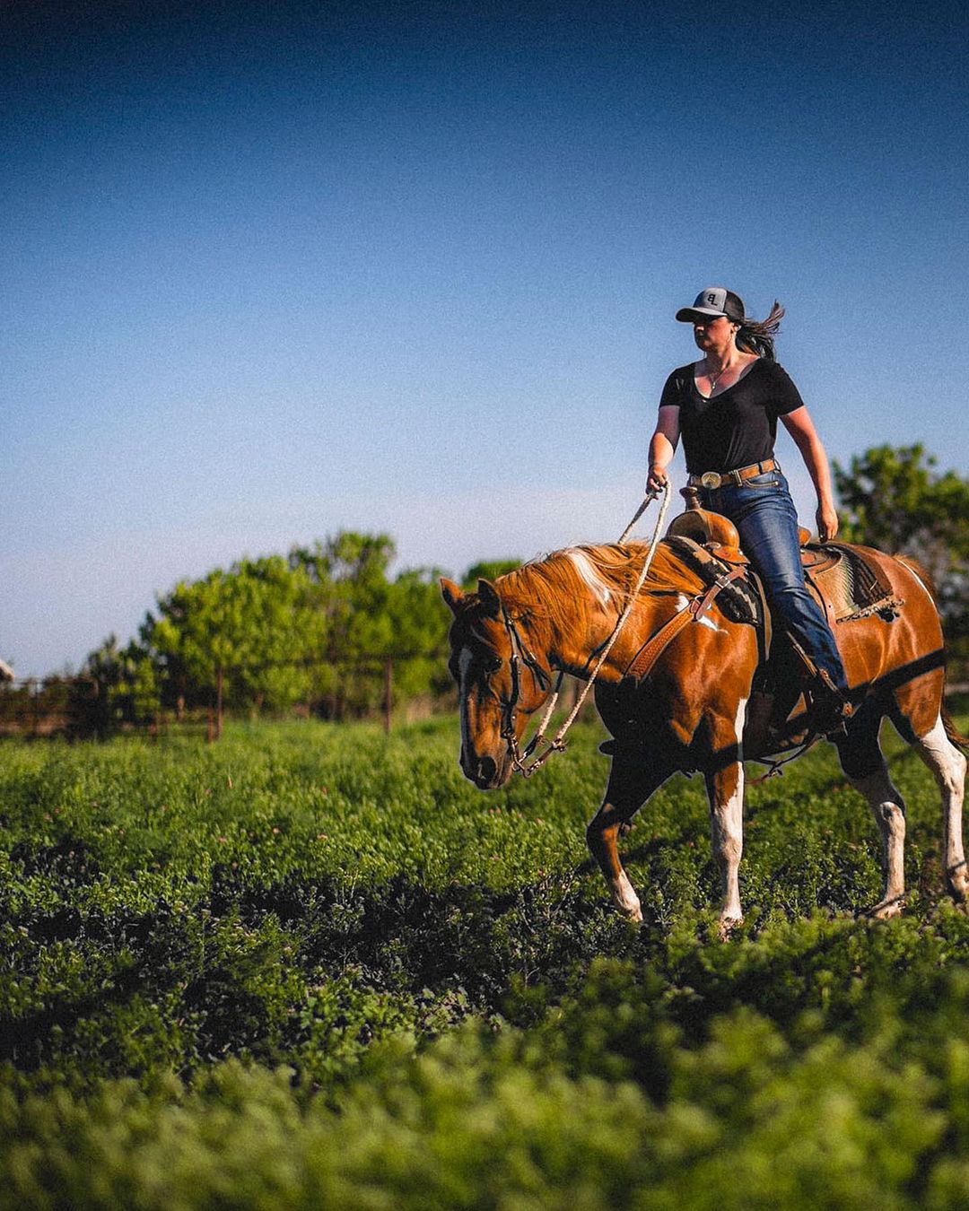 Woman riding a chestnut horse through a green field under a blue sky on a sunny day. Trees in the background.