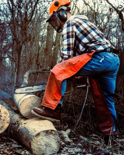 Adult male cuts logs with a chainsaw in a forest. He wears safety gear, including a helmet and chaps. The chainsaw is mid-cut.
