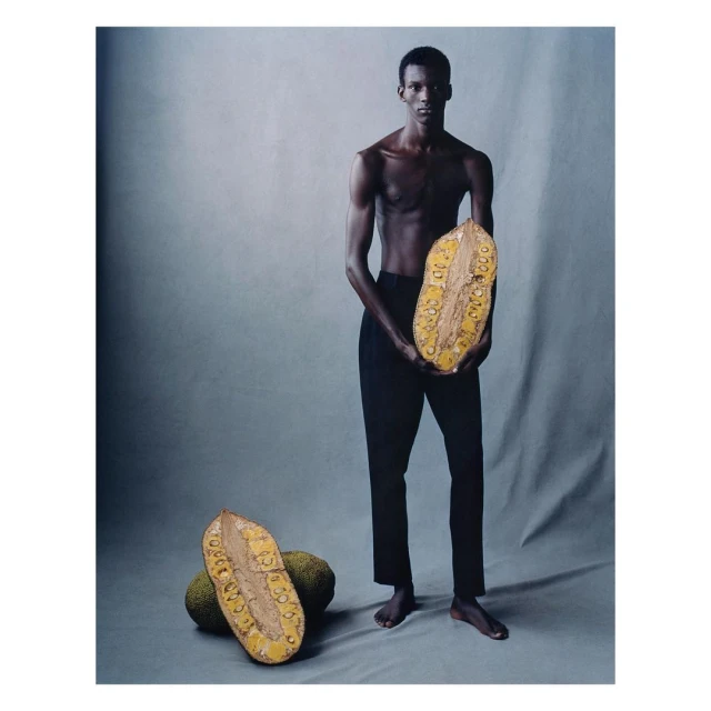 Studio shot of a Black male model holding a halved jackfruit, with additional jackfruit on the gray background, fashion-forward art.